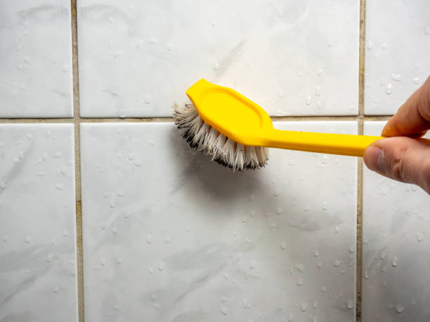 Best Home Mold Removal  in Old Forge, PA