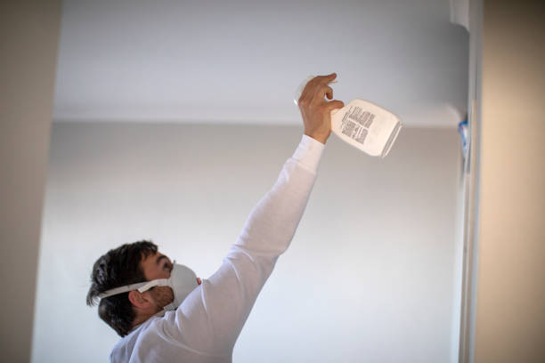 Reliable Old Forge, PA Mold Removal Solutions