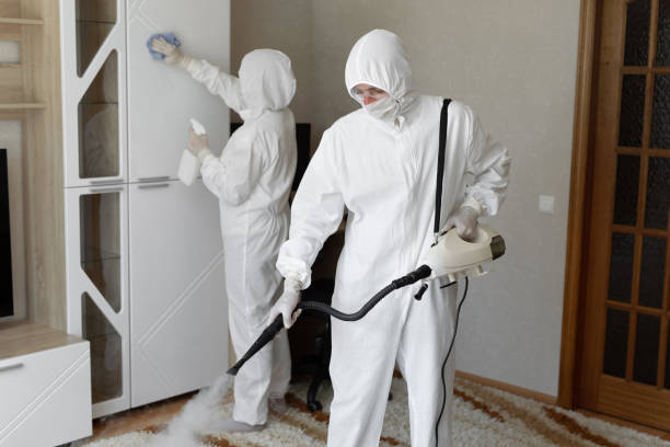 Best Certified Mold Removal  in Old Forge, PA