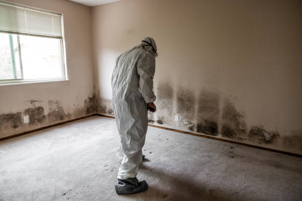 Best Crawl Space Mold Removal  in Old Forge, PA