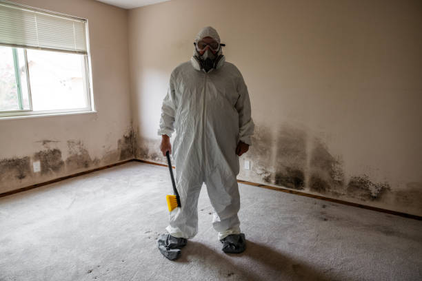 Best Mold Testing  in Old Forge, PA